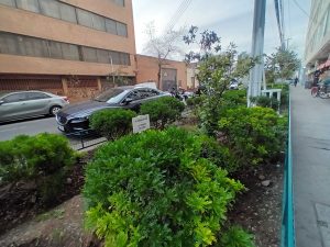 Zenteno, Muy Céntrico Departamento