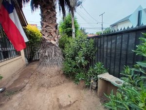 La Florida // Inversión // Remodelar