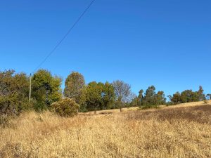 Cauquenes Parcelas Con Vista Privilegeada